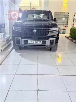 دينزا B8